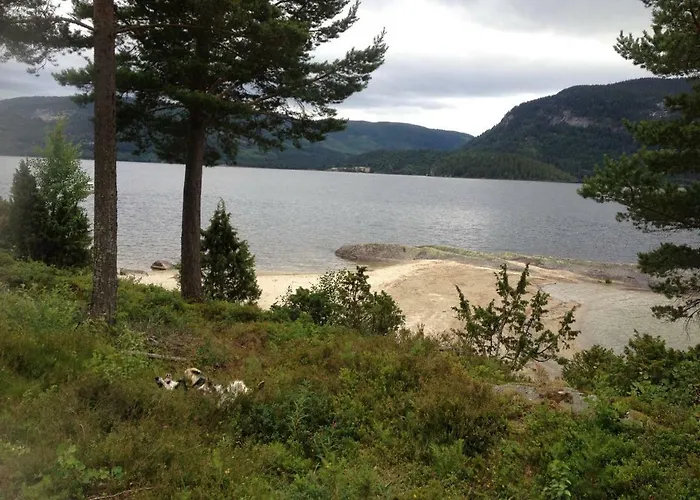 - Lille Galleri - Fyresdal