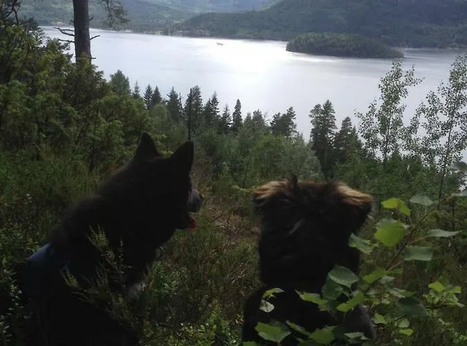 - Lille Galleri - * Fyresdal